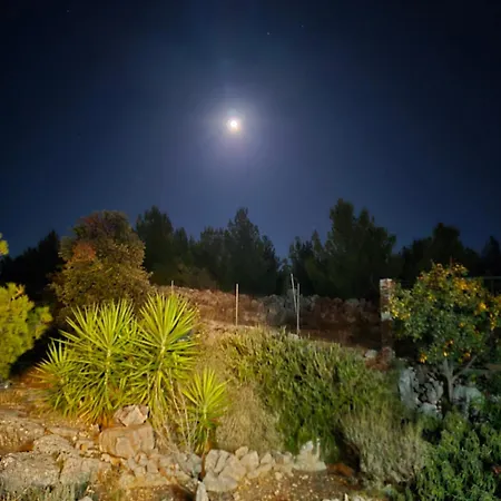 Aura מילנה