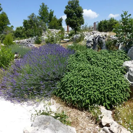 Aura Holiday home Milna (Brac)